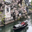 仓桥直街历史街区 - 绍兴市旅游 缩略图 4