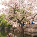 仓桥直街历史街区 - 绍兴市旅游 缩略图 9