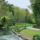 杭州植物园 - 杭州市旅游 缩略图 5