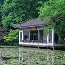 杭州植物园 - 杭州市旅游 缩略图 8