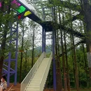 茅山森林世界 - 常州市旅游 缩略图 6