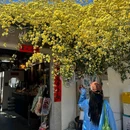 平江路游客中心 - 苏州市旅游 缩略图 6