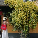 百塔寺 - 西安市旅游 缩略图 2