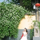 百塔寺 - 西安市旅游 缩略图 1