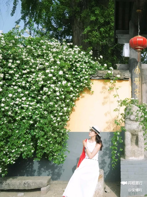 百塔寺 - 西安市旅游