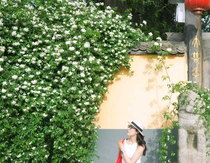 百塔寺 - 西安市旅游 1