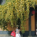 百塔寺 - 西安市旅游 缩略图 4