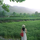 百塔寺 - 西安市旅游 缩略图 8