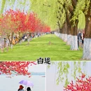 断桥残雪 - 杭州市旅游 缩略图 3