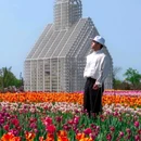 荷兰花海 - 盐城市旅游 缩略图 5