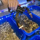 好客来海鲜蒸汽火锅(东山岛店) - 漳州市旅游 缩略图 3