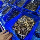 好客来海鲜蒸汽火锅(东山岛店) - 漳州市旅游 缩略图 1