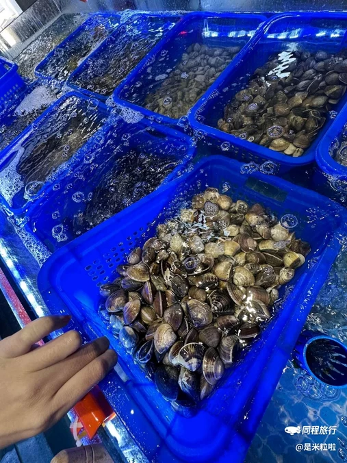 好客来海鲜蒸汽火锅(东山岛店) - 漳州市旅游