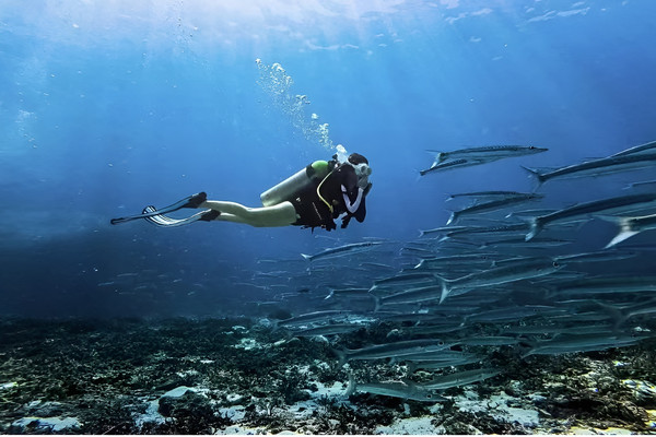 6天5晚·普吉岛+蛋岛快艇一日游+泳池别墅酒店+环岛游米其林餐厅跟团游