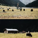 无底湖风景区 - 迪庆藏族自治州旅游 缩略图 5