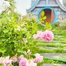 繁花 - 苏州市旅游 缩略图 9