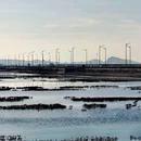 兴城海上美术馆 - 葫芦岛市旅游 缩略图 8