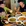 成都市·小圆凳·山野土菜馆(锦华万达店)