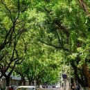 东交民巷 - 北京市旅游 缩略图 4