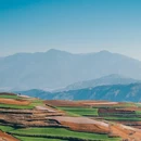 东川红土地 - 昆明市旅游 缩略图 6