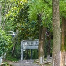 中国宣纸博物馆 - 宣城市旅游 缩略图 6