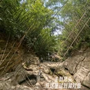 胜天水库 - 重庆市旅游 缩略图 7
