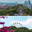 三十三墟街 - 江门市旅游 缩略图 6