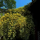耦园 - 苏州市旅游 缩略图 2