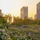 人民广场 - 合肥市旅游 缩略图 5