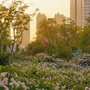 人民广场 - 合肥市旅游 缩略图 2