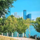 天鹅湖 - 合肥市旅游 缩略图 5