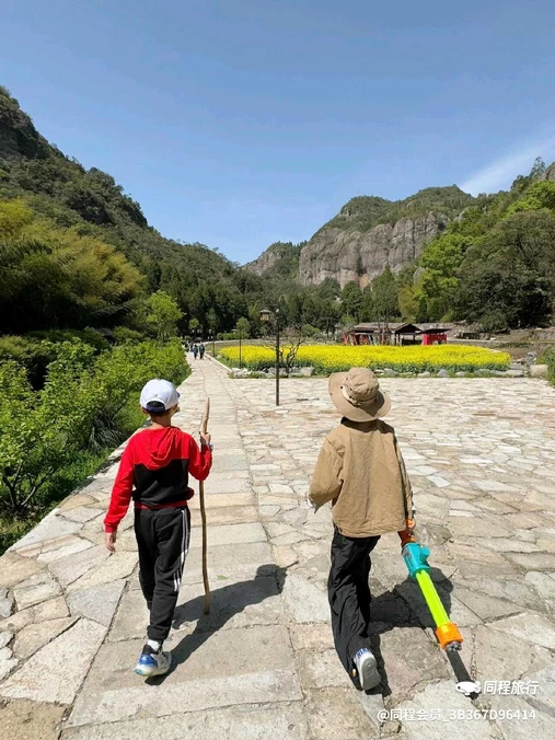 黄檀硐古村落-罗汉松 - 温州市旅游