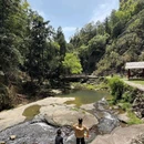 黄檀硐古村落-罗汉松 - 温州市旅游 缩略图 3