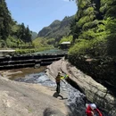 黄檀硐古村落-罗汉松 - 温州市旅游 缩略图 4