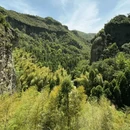 黄檀硐古村落-罗汉松 - 温州市旅游 缩略图 9