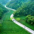 杭州西湖风景名胜区-梅家坞 - 杭州市旅游 缩略图 6