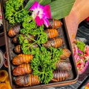 卜奎王屯老奶奶齐齐哈尔烤肉(铂悦山店) - 成都市旅游 缩略图 7