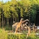 长颈鹿庄园 - 湖州市旅游 缩略图 8