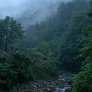 青城山后山 - 成都市旅游 缩略图 1
