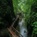 青城山后山 - 成都市旅游 缩略图 5