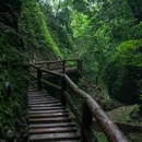 青城山后山 - 成都市旅游 缩略图 2