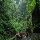 青城山后山 - 成都市旅游 缩略图 4