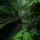 青城山后山 - 成都市旅游 缩略图 6