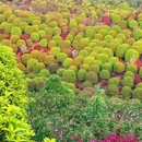 茅庵村 - 重庆市旅游 缩略图 5