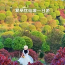 茅庵村 - 重庆市旅游 缩略图 1
