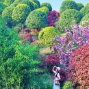 茅庵村 - 重庆市旅游 缩略图 9