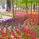 北京世界公园 - 北京市旅游 缩略图 1