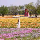 北京世界公园 - 北京市旅游 缩略图 8