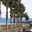 天一阁广场 - 宁波市旅游 缩略图 4