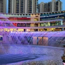 荷兰花海 - 盐城市旅游 缩略图 6